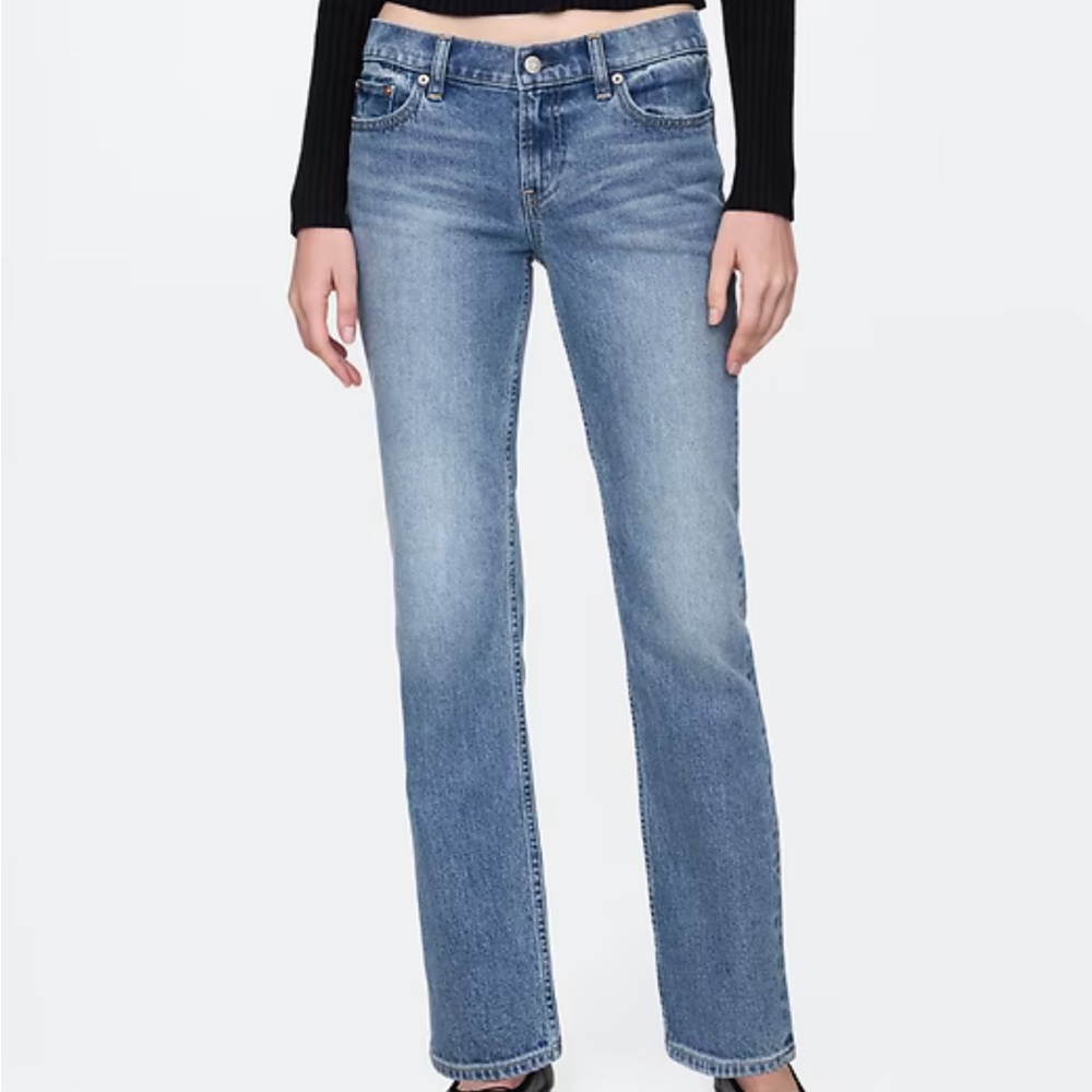 Denim Forum Low Rise Straight Jeans